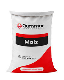 Maíz